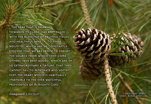 Advent sanctuary installation