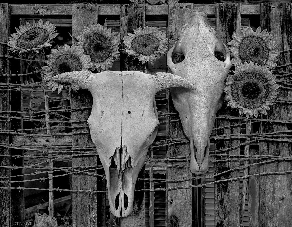The Communion table in the early morning light